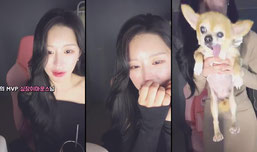 imso0216님의 클립/캐치금지