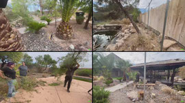 🐍 Happy Sunday! ☀️ | Back at the LVRZ Property Putting in That Work! 💪🏾🔥 | TAP IN! 👀 | Goldens Konstrictors LIVE 🟢