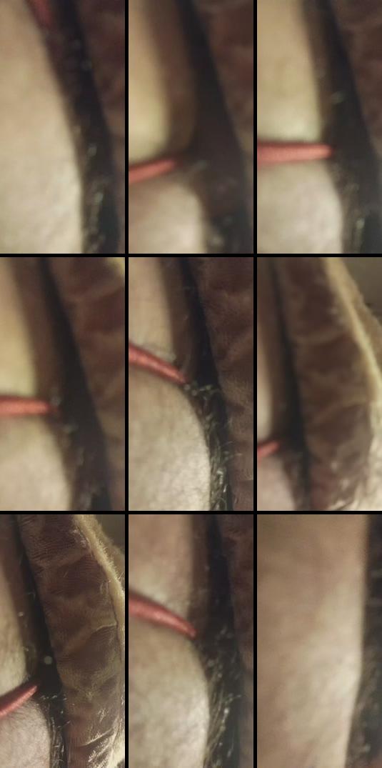 Recording Thumbnail