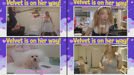 LIVE🔴 IN 🇯🇵  Karaoke Stream 🎤  500 Bits / $7 = Spin 1 Spin & Request Song!
