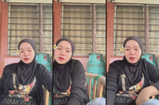 Borak petang
