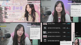 오랜만에 저녁뱅!! 시그1+1데이 / 도네바 귀인 구합니다ㅠㅠ!!