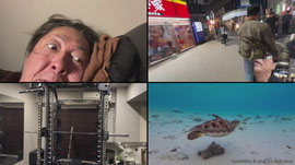 山岡、地獄のボクシング強化合宿ホッシーも来るよ！　HELLBOUND BOXING BOOT CAMP Yo, check the vibe! It's Dre the One Tooth, leader of the CX-MEN,？🥊 #iceposeidon #cobbruvs #CX