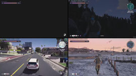 REED - BIRDS JET PAWN NEW CREW? - NOPIXEL V