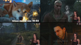 !DROPS ✅ HUGE Witcher Fan (Books & Games) [DEATH MARCH - PC] | @MissMikkaa on Socials
