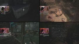 RESIDENT EVIL 8! 0 DEATHS! GAMER OF THE YEAR!   !socials