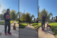 Enjoying Good Weather W/ Nova 🐶🐕