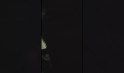 Click for fun!