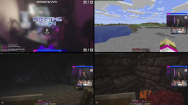 HARDCORE SPEEDRUN?