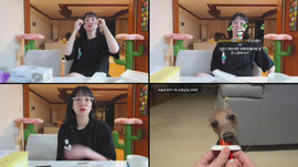 햅번 님의 상큼발랄 생방송