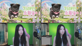 종겜핀볼 ㄷㄱㄷㄱ