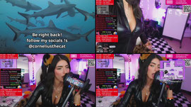 LIVE ASMR meow >:) look what the cat.....drain and chill  <3 !s socials !discord (YT/X/Pateron for ASMR)