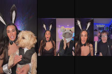 Bad Bunny Battle series