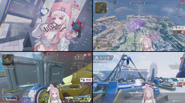 ろぜっくぴんを最強にさせるAPEX