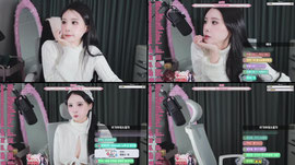 정치안해요 제가안해요