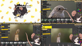 I LIKE CHEESE!!!! comfy bird photography editing