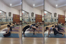 Phương Thuý_ Đào tạo HLV yoga