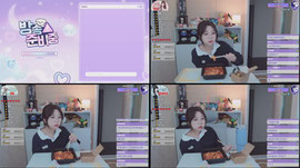 뉴캣슬😺 방굽습니다