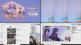 [드림즈] 진땅콩 뇽안