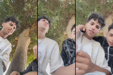 Ahmed✨