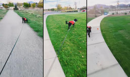 Buddy walk. 🐕‍🦺