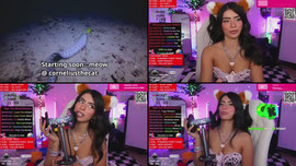 LIVE ASMR meow >:) look what the cat.....drain and chill  <3 !s socials !discord (YT/X/Pateron for ASMR)