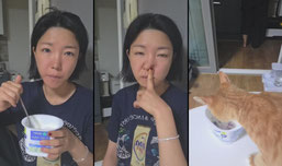 노템 노방종 48시간 1024