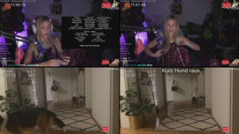 24H! - Bald🏡 - TALK- IRL, Musik und CHALLENGES