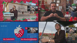 🔴 ERDBEER HÖFEEE 🍓🍓 | CanBroke