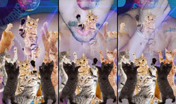 Recording Thumbnail