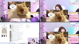 Recording Thumbnail