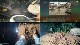 Recording Thumbnail