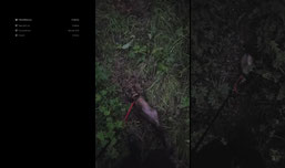 Recording Thumbnail