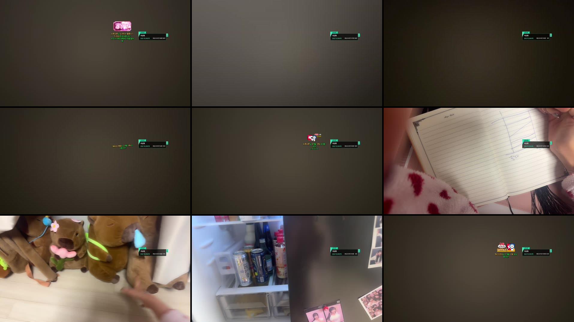 Recording Thumbnails