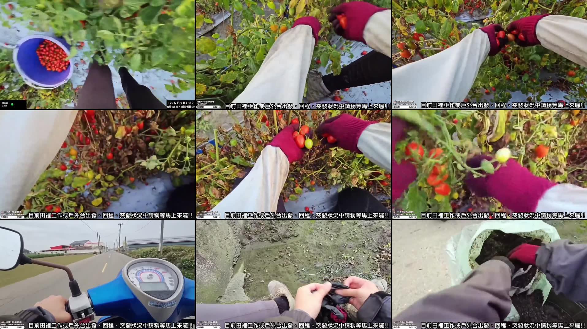 Recording Thumbnails