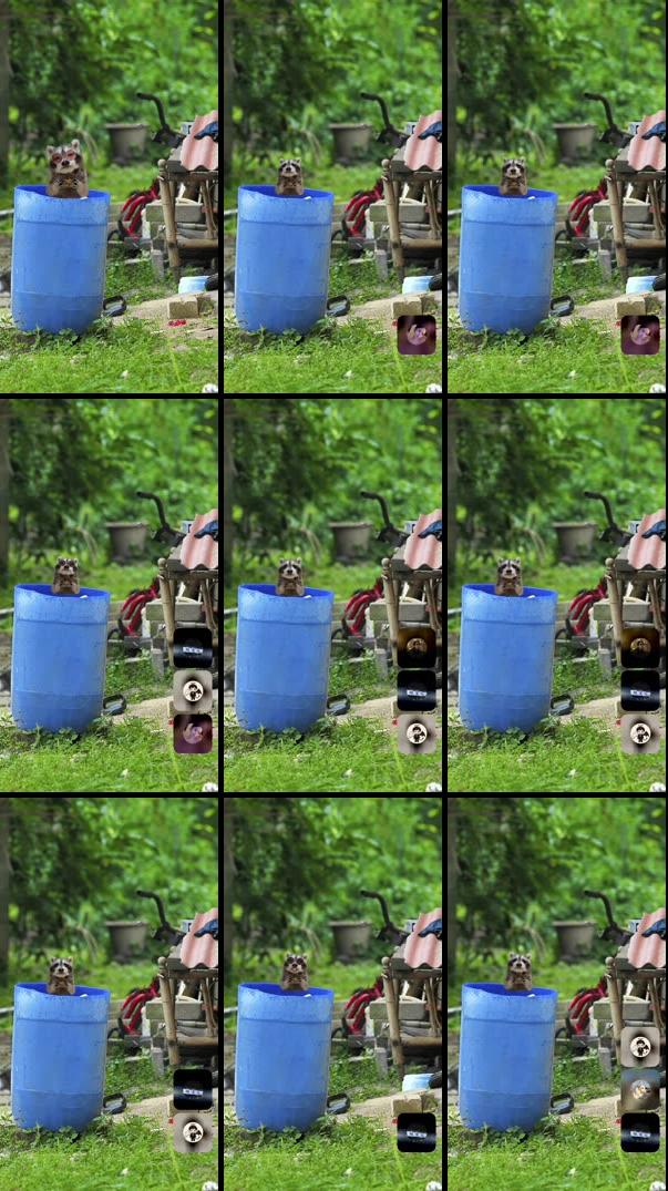 Recording Thumbnails