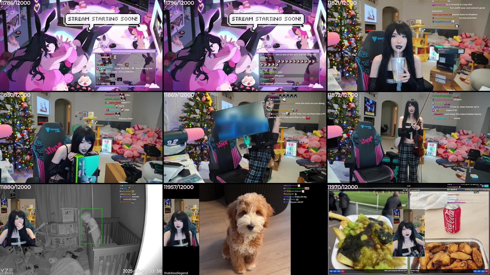 Recording Thumbnails